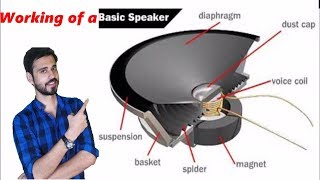 How does a Speaker Subwoofer Tweeter work [upl. by Manny]