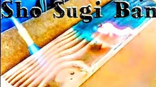 Stained Shou Sugi Ban Yakisugi Tutorial  How to Burn Wood with Color [upl. by Ullyot]