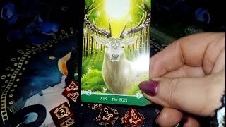 💖Jaký důležitý rozhovor vás čeká A co objasní💖vykladzkostek tarot výkladkariet vestenie laska [upl. by Edwyna]