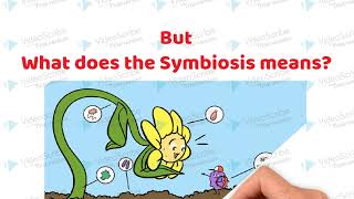 Symbiotic Association between the roots of Leguminous plants and Rhizobium bacteria [upl. by Hammerskjold484]