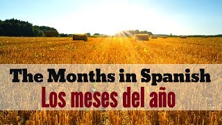 Months of the Year in Spanish  Los Meses del Año en Español [upl. by Lyall]