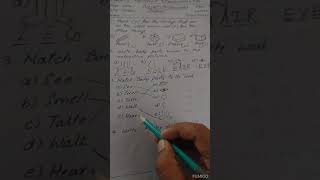 UKG  EVS FA2 Question paper solving [upl. by Alieka]