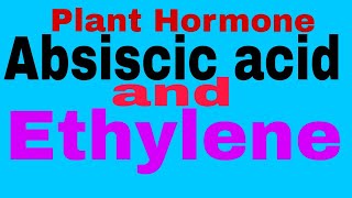 Plant HormoneAbscisic Acid And Ethylene TGTPGTNEETMScBScClass 12thClass 10thCBSE Board [upl. by Packton411]