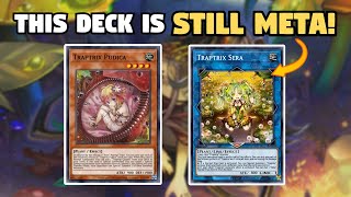 STILL COMPETITIVE Traptrix Deck Profile  October 2023 [upl. by Karlene176]