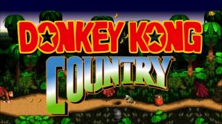 Donkey Kong Country Trilogy  Music Mix [upl. by Sim16]