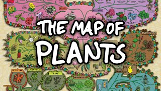 The Surprising Map of Plants [upl. by Chung]