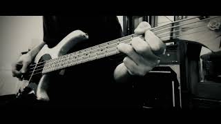 Frank Angelucci Jr  Estranged Guns N Roses Bass Cover [upl. by Trautman855]