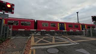 Cycling to Epsom Common amp Ashtead Common  Thursday 14th Nov 2024 [upl. by Heady108]