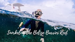 Snorkeling The Belize Barrier Reef [upl. by Ellehcer]