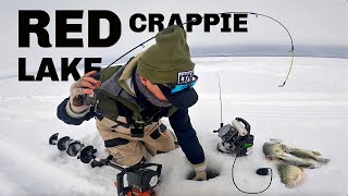 POUNDING RED LAKE CRAPPIES Ice Fishing 2024 [upl. by Nemajneb]