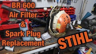 BR 600 AIR FILTER amp SPARK PLUG CHANGE [upl. by Afira]