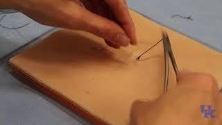 Horizontal and Vertical Mattress Sutures [upl. by Cyril]