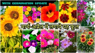 मार्च अप्रैल में लगाये इन् फूलों को  Top 20 Summer flowering plants From seed To saplings update [upl. by Johnathon536]