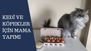 Kedi ve köpekler için 2 süper mama tarifi kendin yap DIY [upl. by Avis453]