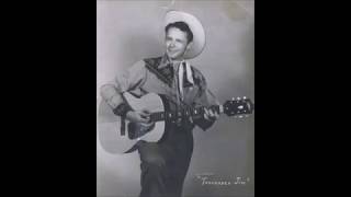 Great Dixie Boppin Hillbillies 19541959 [upl. by Rosy]