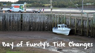 Bay of Fundys Radical Tide Swings [upl. by Adnama453]