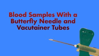 Collecting Blood Samples with a Butterfly Needle and Vacutainer Tubes [upl. by Macgregor]