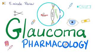 Glaucoma Pharmacology  5Minute Review [upl. by Anirehc405]