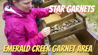 Finding Star Garnets at the Emerald Creek Garnet Area [upl. by Ahsinauj]