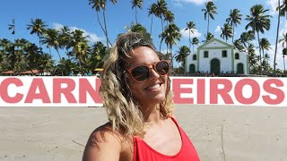 PRAIA DE CARNEIROS E BORA BORA passeio de Porto de Galinhas  Prefiro Viajar [upl. by Kotz]