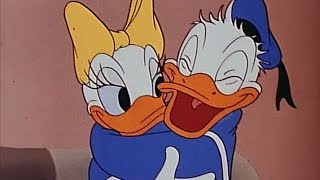 Donald Duck and Daisy Cartoon  Cured Duck [upl. by Boyes6]