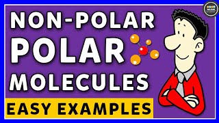 Polar And NonPolar Molecules  Chemistry [upl. by Deeann601]