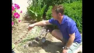 Planting a Hens amp Chicks border [upl. by Etennaej820]