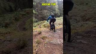 mtbfun in aboyne Some really really good features and trails shorts [upl. by Bartlett]