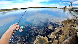 Land based fishing Central Coast  Bridges  Rock Walls [upl. by Nikola]