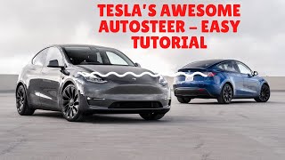 ✨ TESLA’S AWESOME AUTOSTEER  EASY HOW  TO USE✨ [upl. by Eusoj]