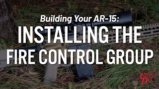 Building Your AR15 Installing the Fire Control Group [upl. by Asiret]