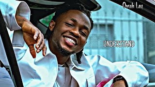 Omah Lay  Understand Official Music Video [upl. by Astrahan711]