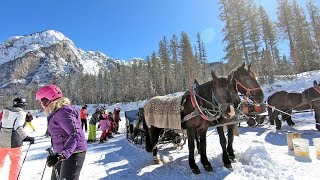 The hidden valley Alta Badia a ski run ending with a horse tow [upl. by Phaidra]