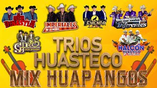 🔥 Mix Trios Huasteco Huapangos 2022 🎶Halcon Huasteco Imperiales De La Sierra y Mas🎺♫ [upl. by Aret643]