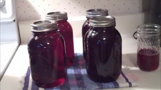 How To Can Plum Juice [upl. by Eahsat]