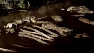 Columbian Mammoth Death by Tar  Ice Age Death Trap  BBC Studios [upl. by Lore]