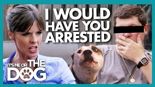 Victoria Threatens Owner Who Beat Up Their Dog with Legal Consequences  Its Me or The Dog [upl. by Ibrad3]