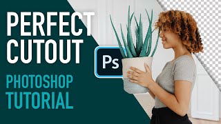 How to create a Perfect Cutout in Photoshop 2020 [upl. by Nolla]