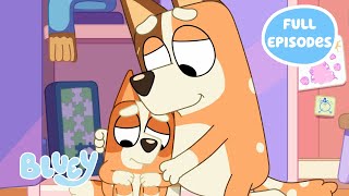 NEW Bluey Season 2 Full Episodes 🧡🍿  Including BINGO MOVIES and more  Bluey [upl. by Rudolfo461]