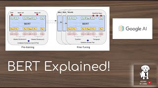 BERT Explained [upl. by Ileek]