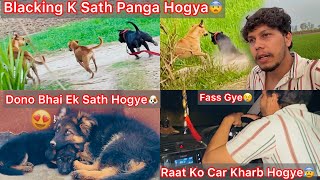 Simba K Dono Beta Ek Sath Hogye😍Last Simba Puppy😢Aadhi Raat Ko Car Kharab Hogye Jungle Mai Fass Gye😰 [upl. by Markowitz621]