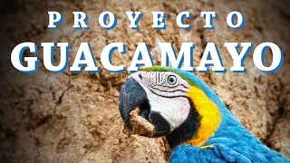 El Proyecto Guacamayo  Documental [upl. by Brooking656]