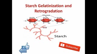 Starch Gelatinization and Retrogradation  Food Technology [upl. by Orecul]