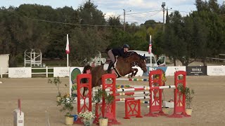 CSI 3 VILAMOURA 2022 01 25 CONTHACHE BLUE et CHLOE OCKERMAN prise de contact dans la warm up [upl. by Ericksen]