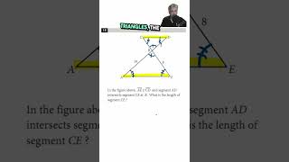 Angle Properties and Similar Triangles geometry maths mathematics [upl. by Dustin]