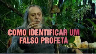 COMO IDENTIFICAR FALSOS PROFETAS ENGANADORES [upl. by Anisah]