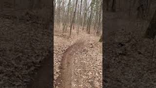 Ripping a Yamaha Zuma 125 through the Woods [upl. by Nnylsor24]