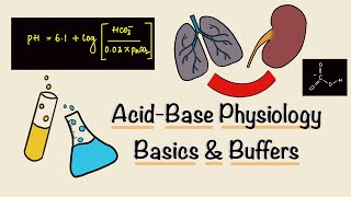 Acid Base Physiology  Part One  Basics  Buffers  Renal Physiology [upl. by Casilda]