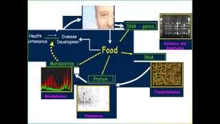 Nutrigenomics [upl. by Tibbs]