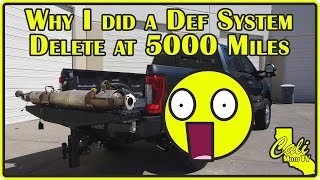 2019 Ford F250 Superduty 67L Powerstroke DEF amp DPF Delete at ONLY 5000 Miles [upl. by Anyahs]